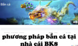 Phương pháp bắn cá BK8 – Nâng cao cơ hội săn thưởng